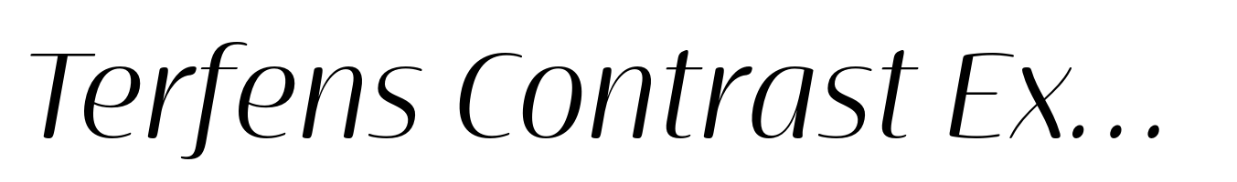 Terfens Contrast Extended Book Italic
